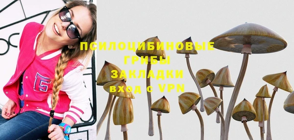 стафф Волоколамск