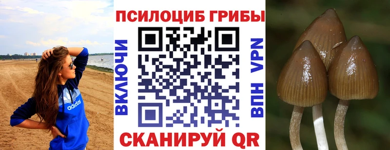 Псилоцибиновые грибы мухоморы  продажа наркотиков  Долинск 